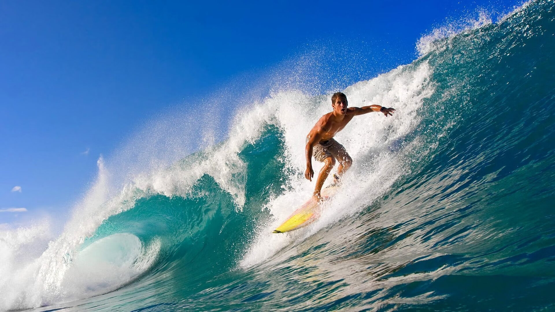 中国女子高尔夫2026年多名球员冲入LPGA总决赛